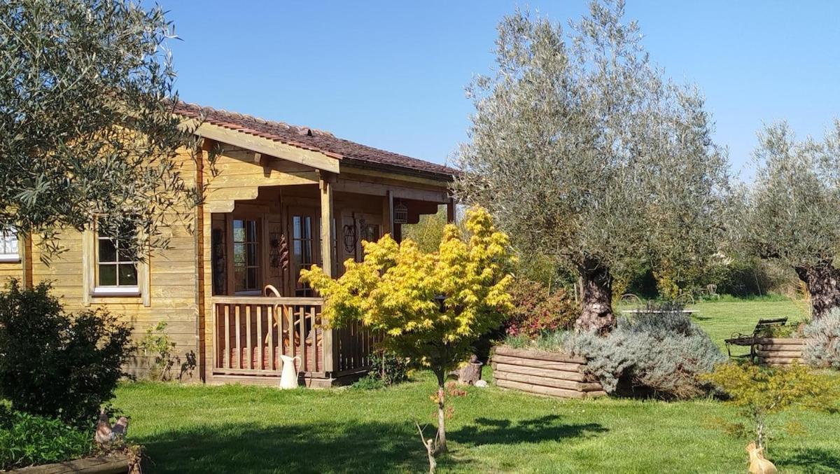Chalet Bois Pleine Campagne A Pontigny Екстер'єр фото