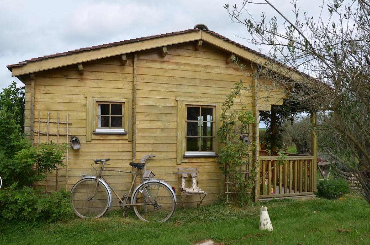 Chalet Bois Pleine Campagne A Pontigny Екстер'єр фото
